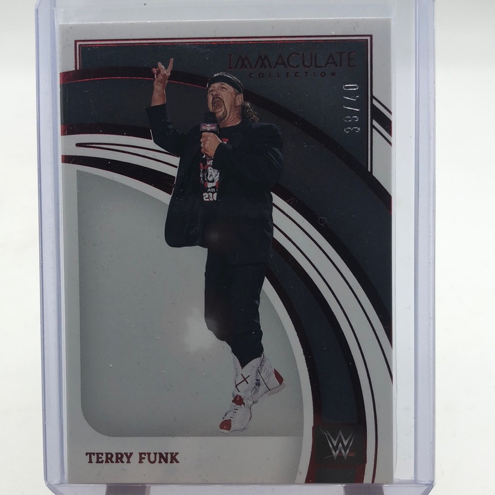 Terry Funk